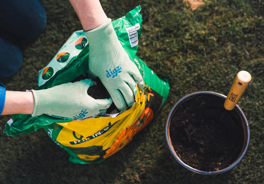 Planning Your Dream Garden: New Year, Fresh Start