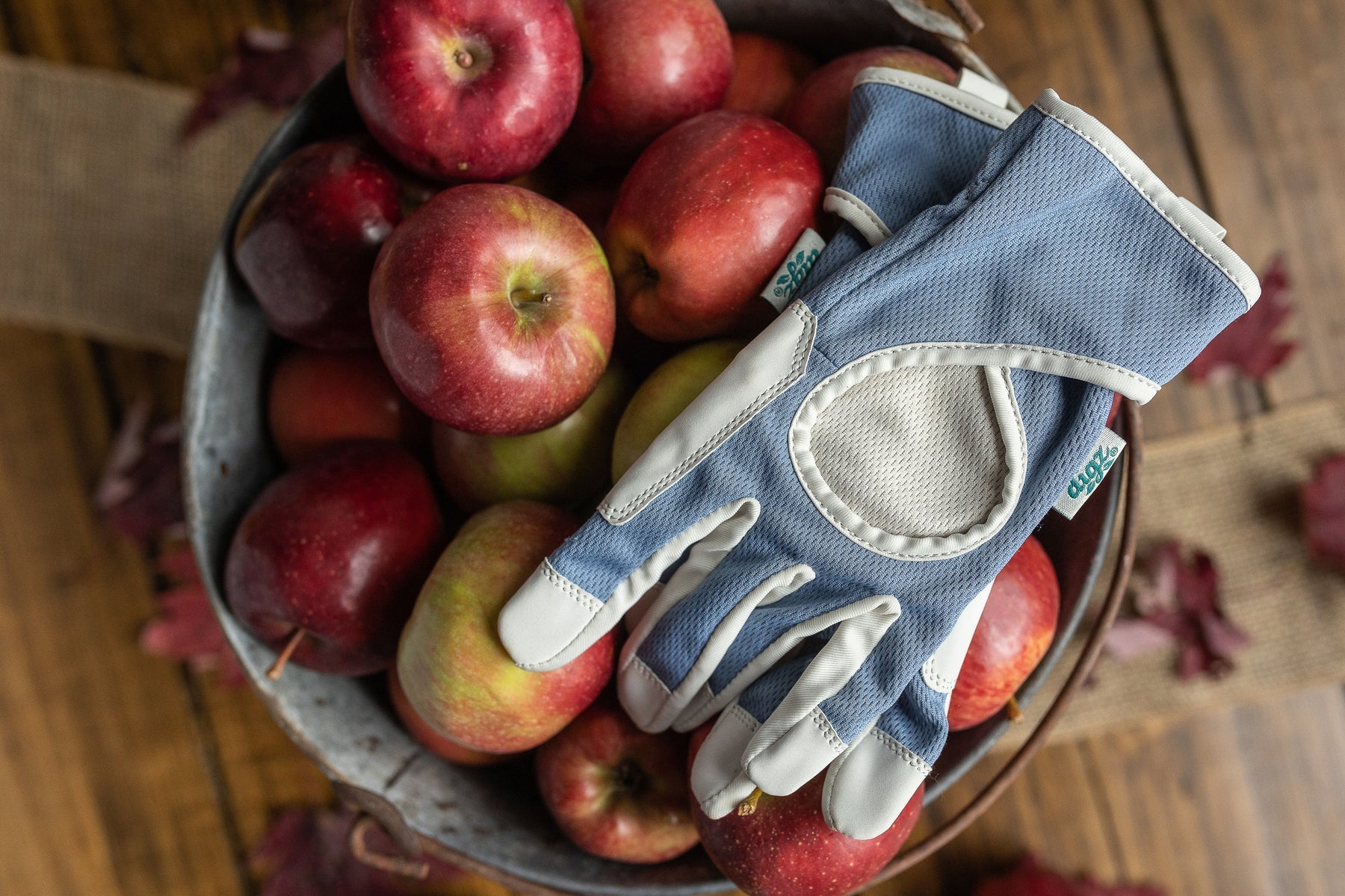 5 Ways To Have a Healthy Garden This Spring (And All Year!)