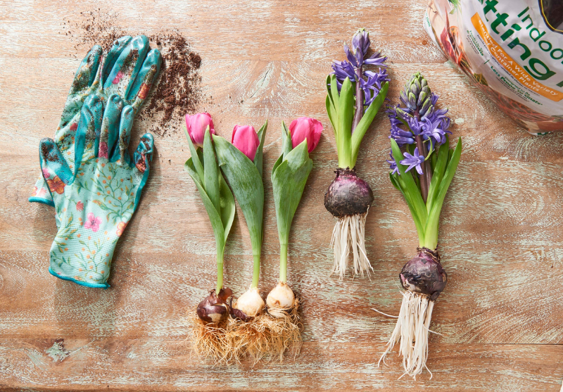 April Showers Bring May Flowers: Gardening in the Rain