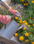 Planter Pink Gloves
