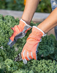 Planter Pink Gloves