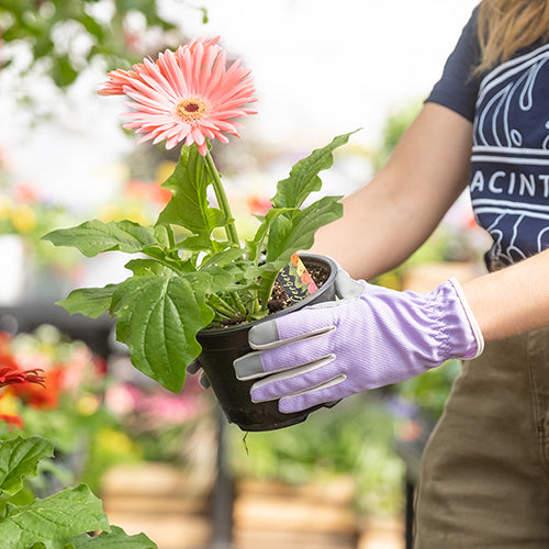 purple gardening gloves Planter Purple Gloves