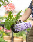 Planter Purple Gloves