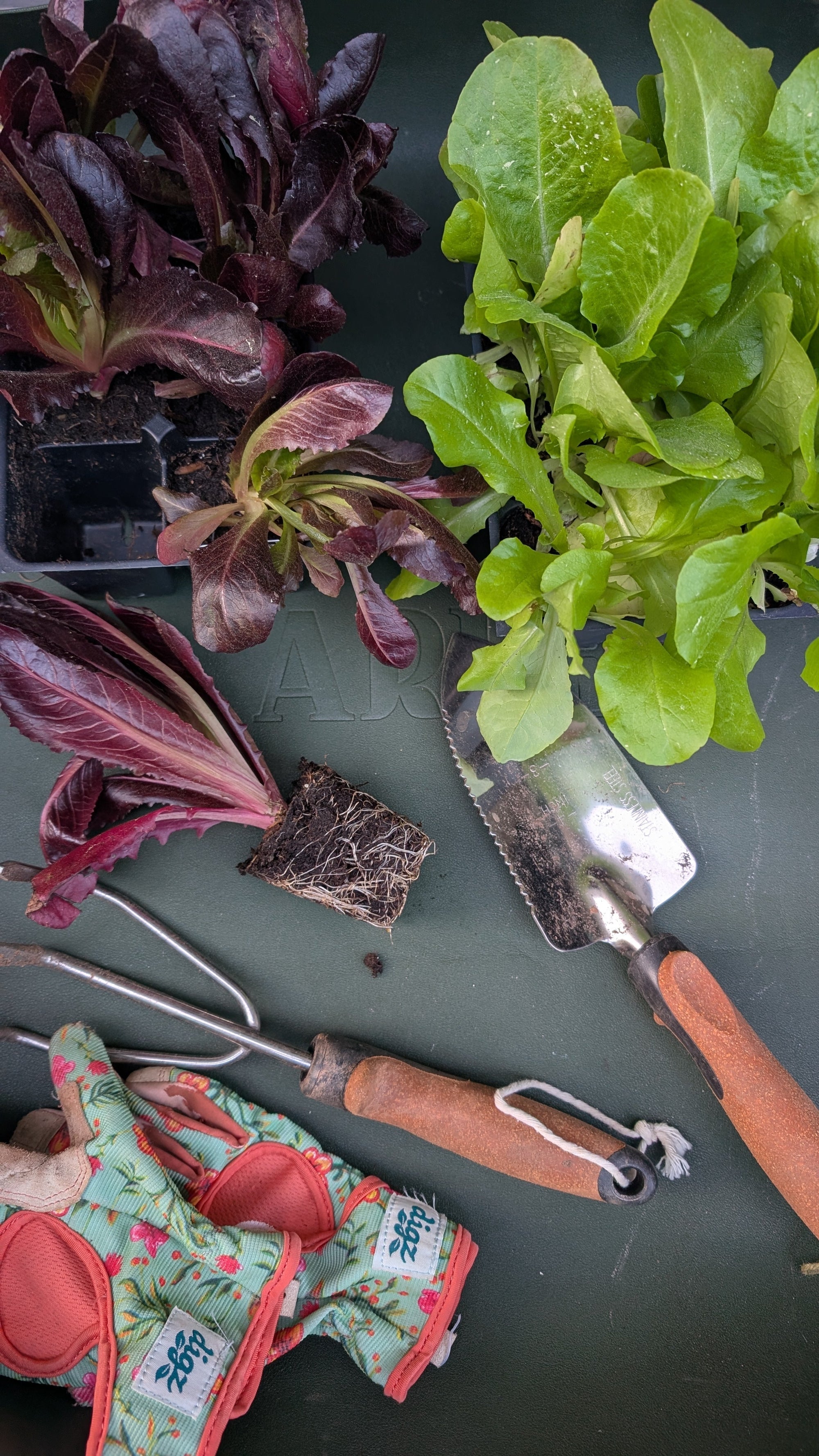 How to Keep Your Garden Watered While You’re Out of Town