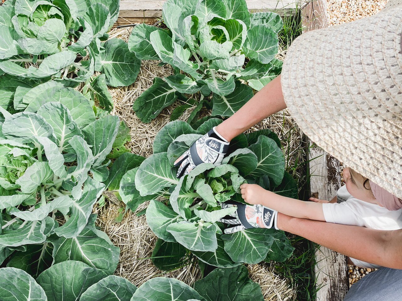 All About Gardening Gloves