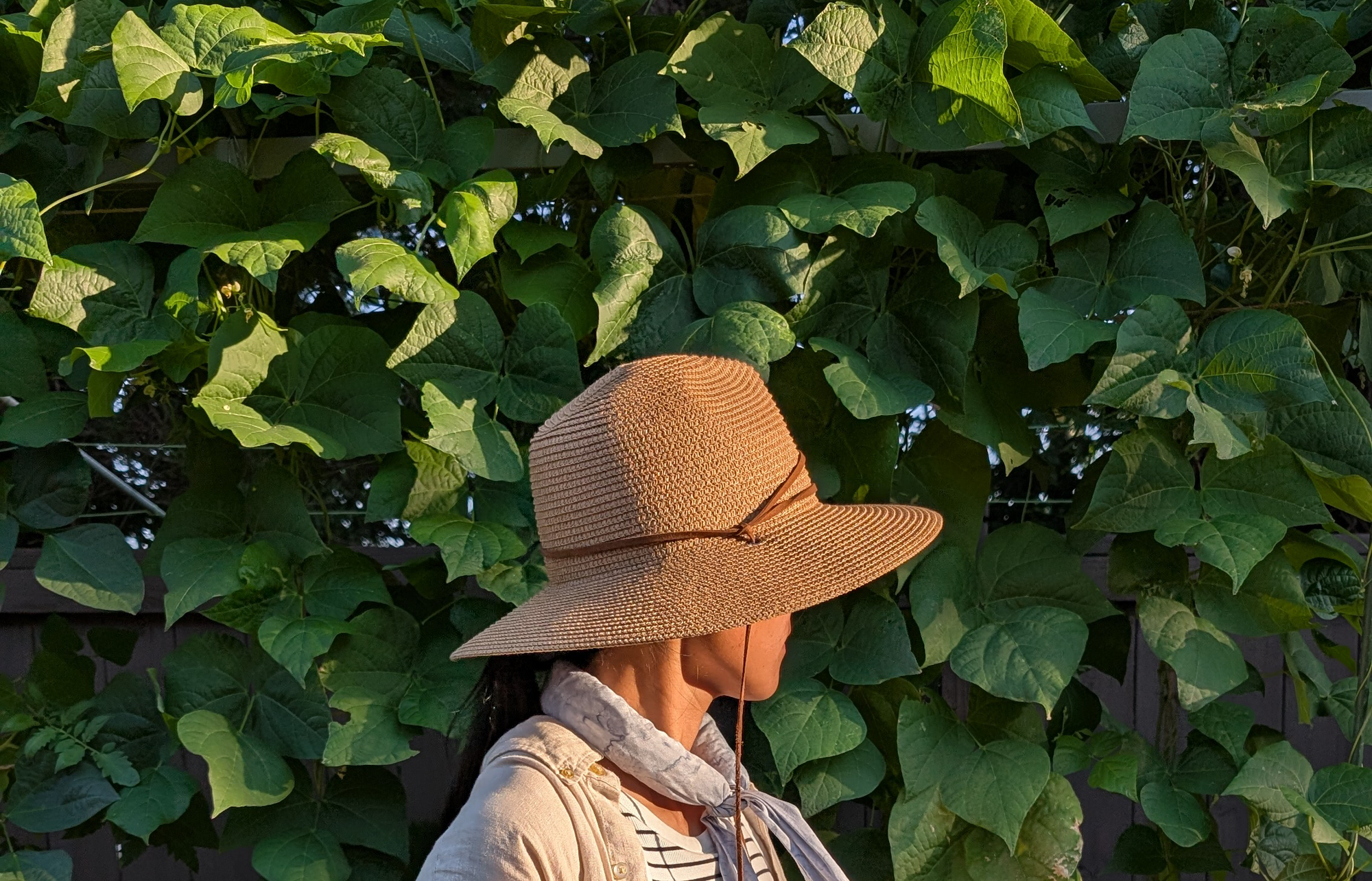 4 Ways I Stay Cool While Gardening in the Georgia Heat