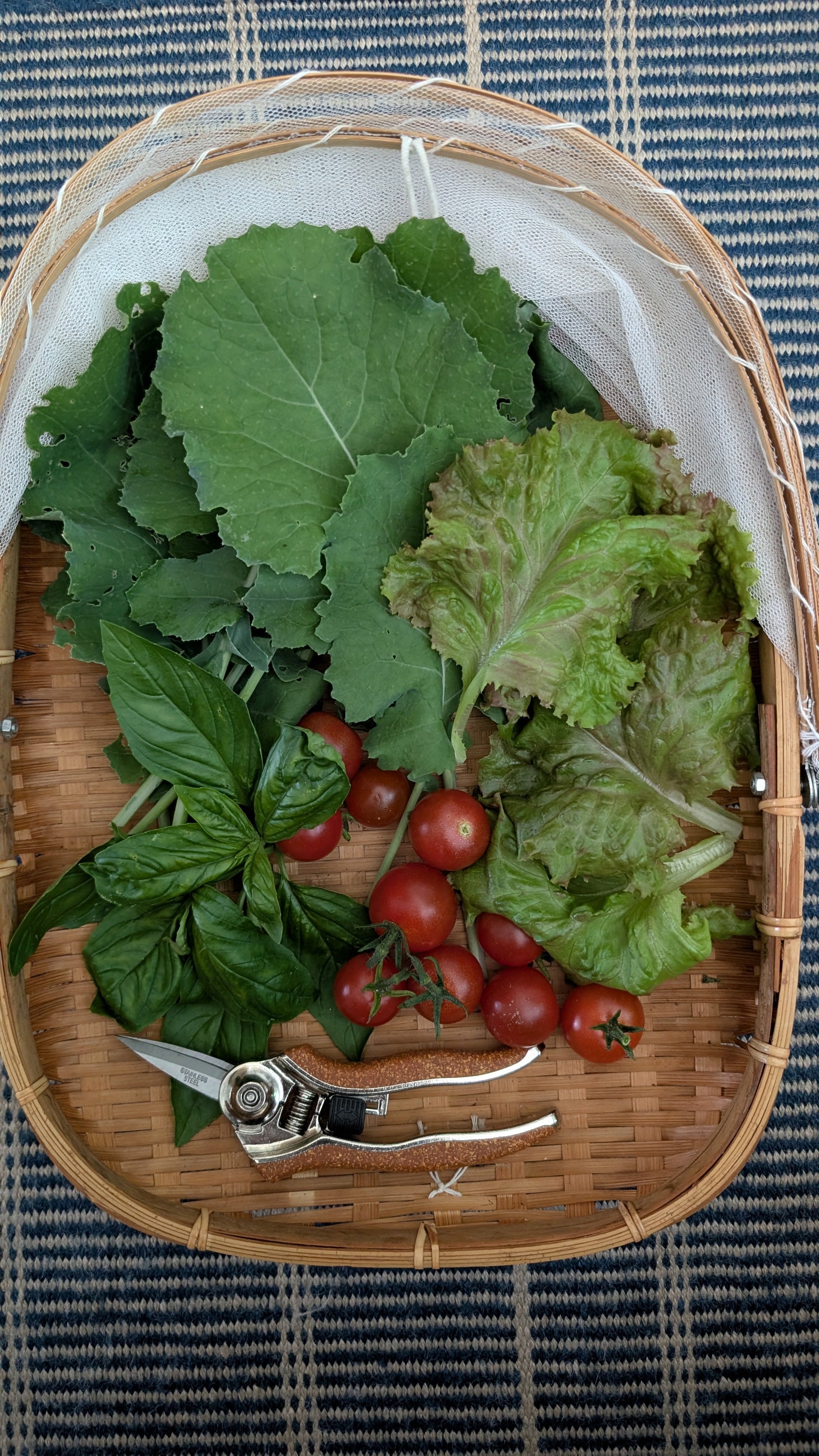 Skip the Stove: How to Harvest a Refreshing No-Cook Summer Lunch