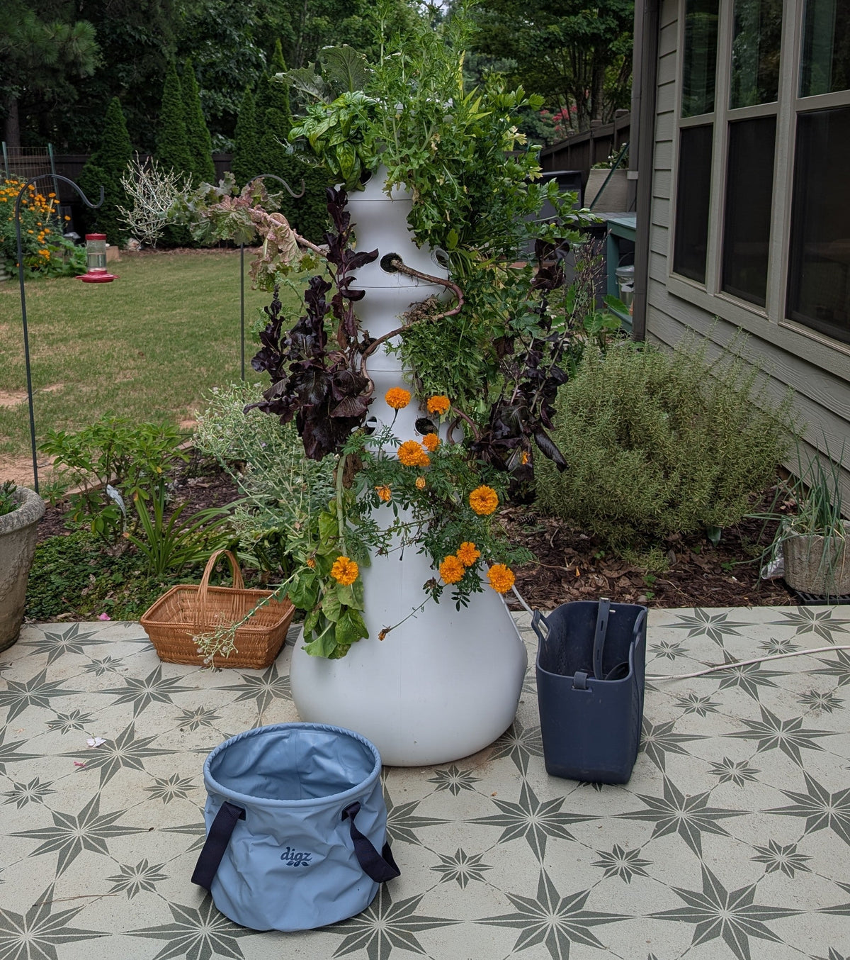 How to Reset Your Hydroponic Garden