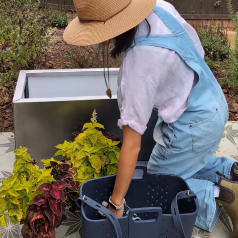 ambassador xin lu in the garden 