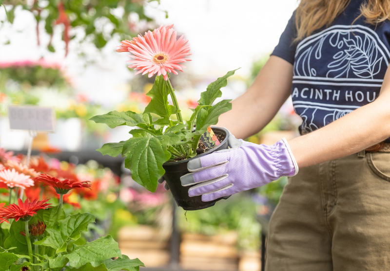 Best Gardening Gloves for Every Task: Protect Your Hands with Digz