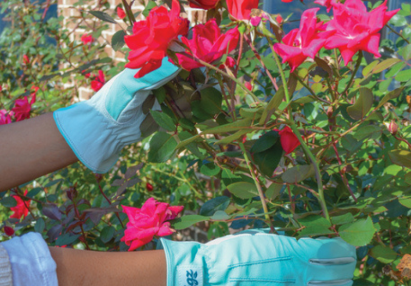 From Garden to Aisle: DIY Wedding Bouquets with Digz