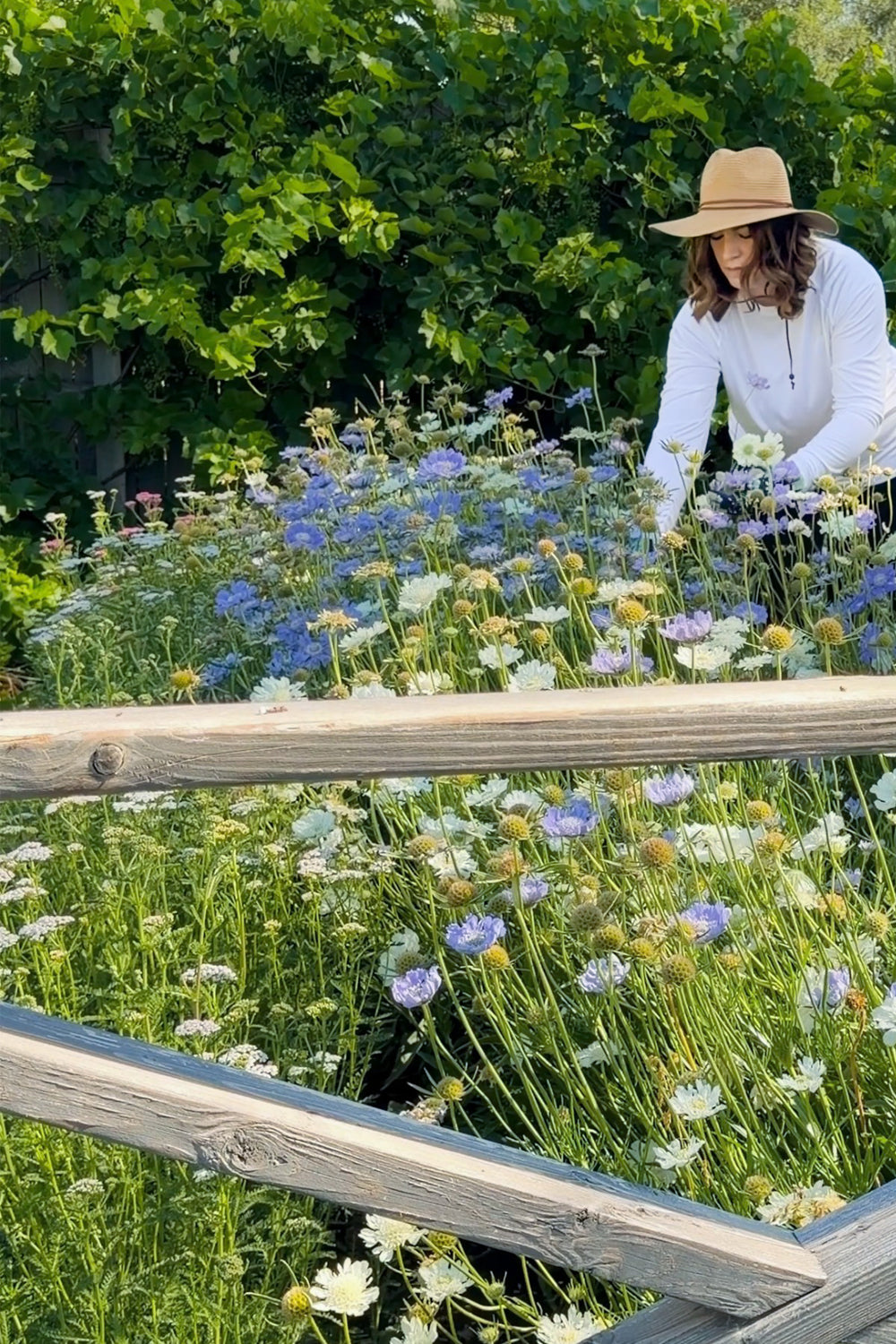 Summer Gardening Tips: Stay Cool and Sun-Safe