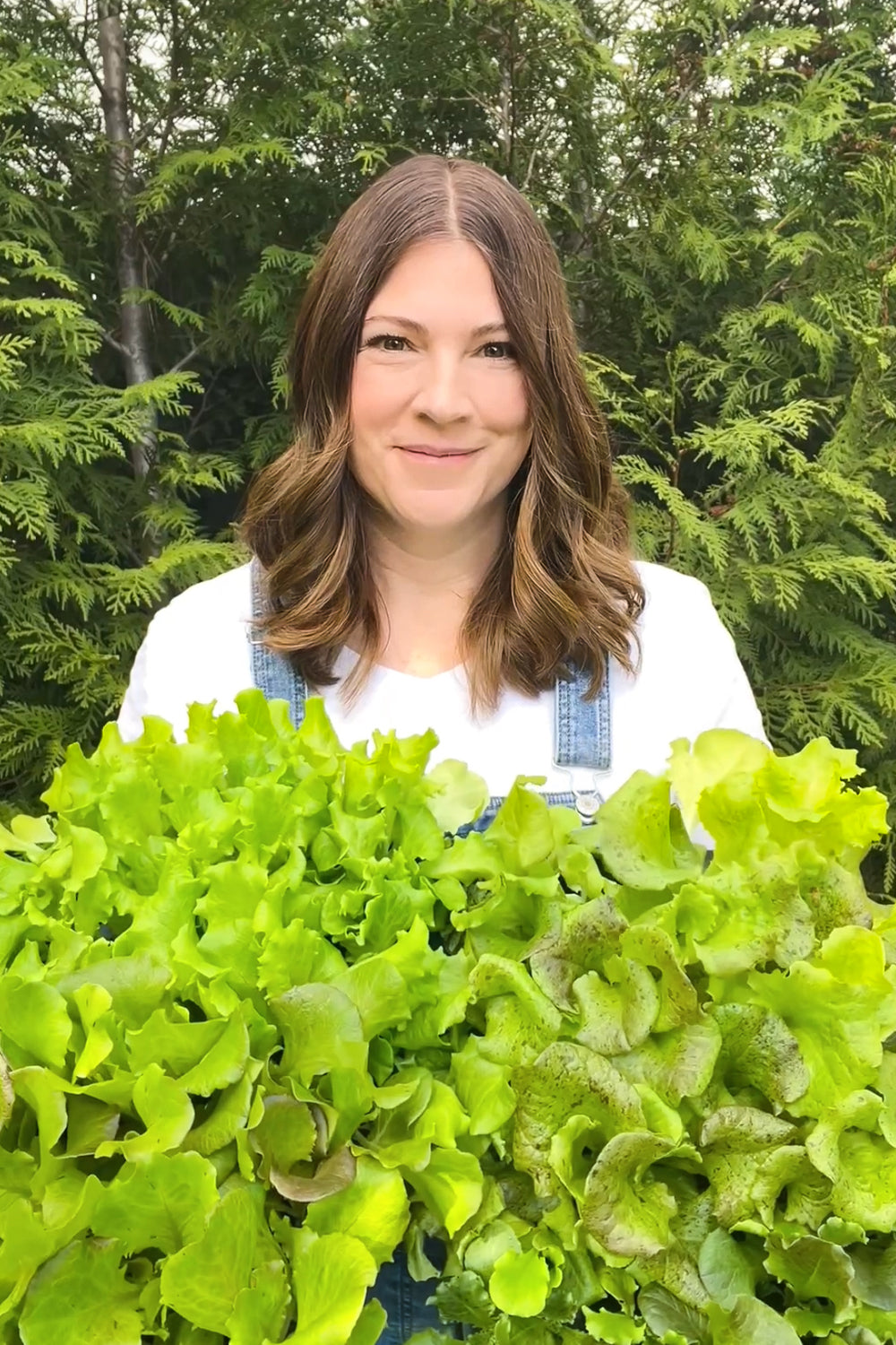 Gardening Keeps You Guessing: Adapting to Weird Winter Weather