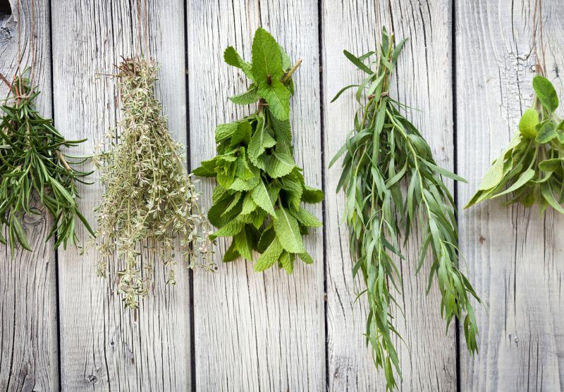 Don't Waste a Leaf: How to Harvest and Preserve Your Garden Herbs for Winter