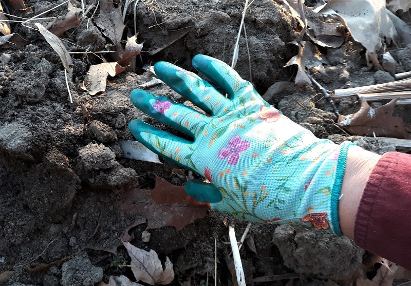 My First Impression of Digz Gardening Gloves