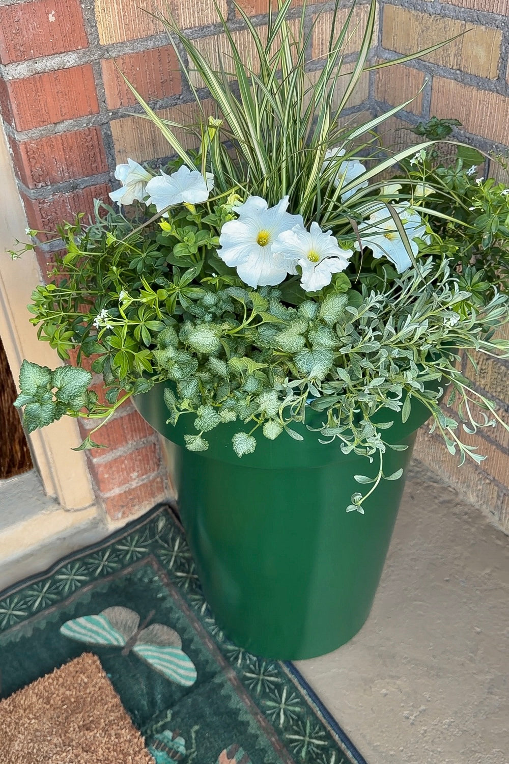 How to Plant a Large Planter: Easy Tips for a Full, Beautiful Container