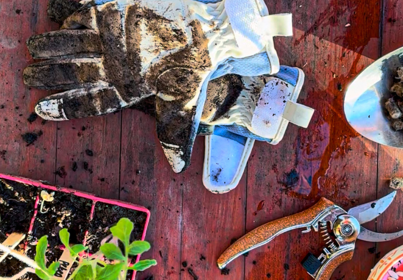 How to Protect Your Hands While Gardening