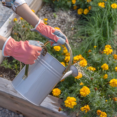 Planter Pink Gloves