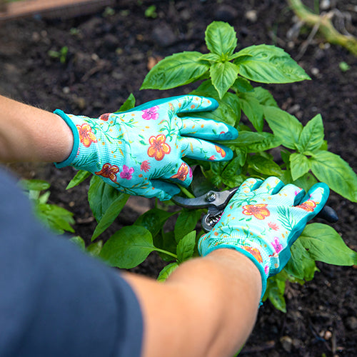 Nitrile Coated Gloves